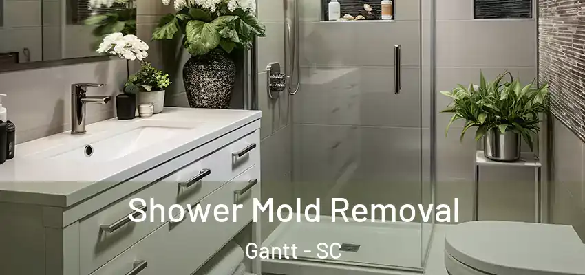  Shower Mold Removal Gantt - SC