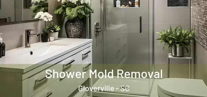 Shower Mold Removal Gloverville - SC