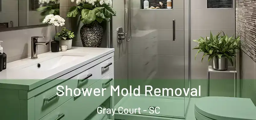 Shower Mold Removal Gray Court - SC