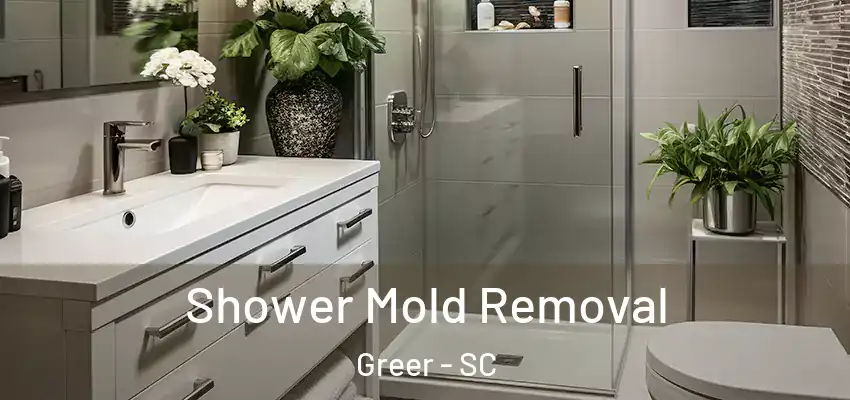 Shower Mold Removal Greer - SC