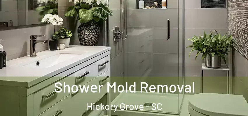 Shower Mold Removal Hickory Grove - SC