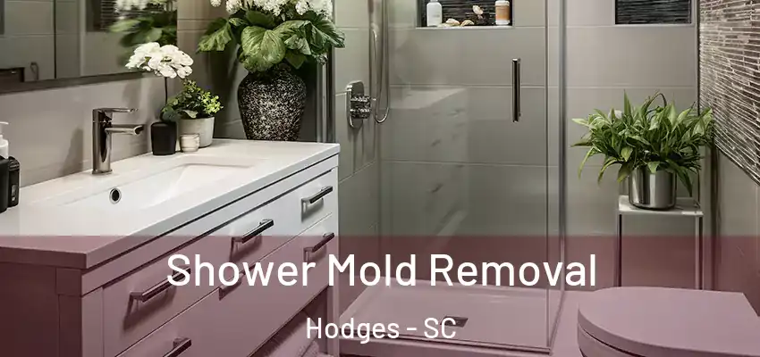 Shower Mold Removal Hodges - SC