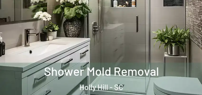  Shower Mold Removal Holly Hill - SC