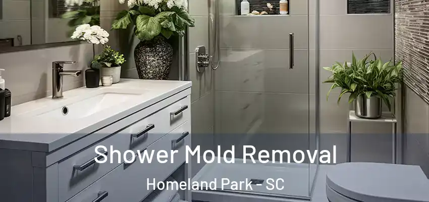 Shower Mold Removal Homeland Park - SC