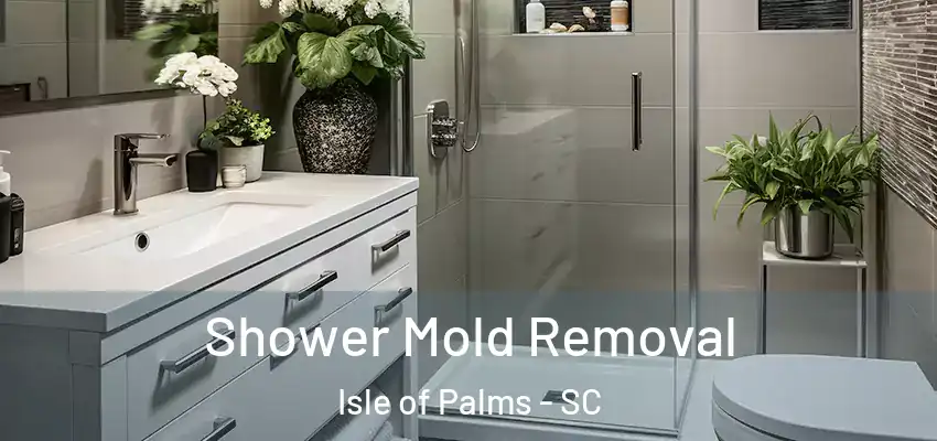 Shower Mold Removal Isle of Palms - SC