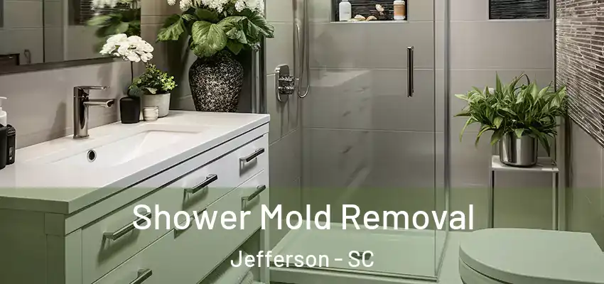  Shower Mold Removal Jefferson - SC