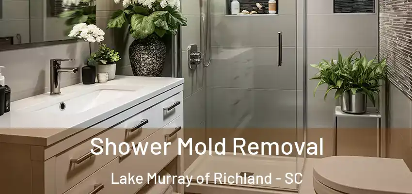 Shower Mold Removal Lake Murray of Richland - SC