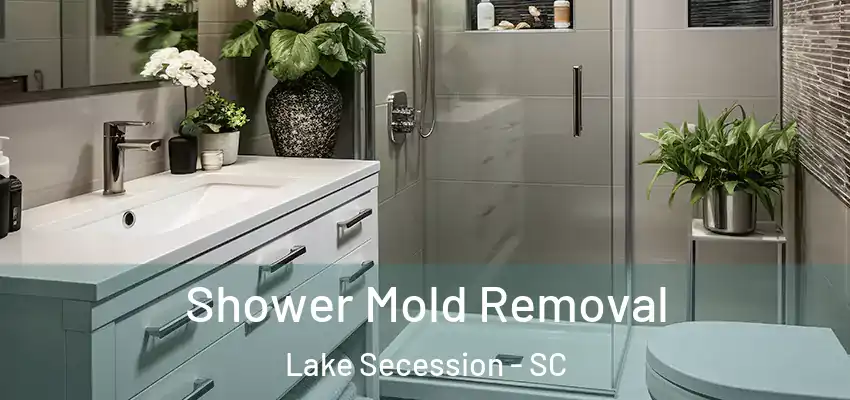 Shower Mold Removal Lake Secession - SC