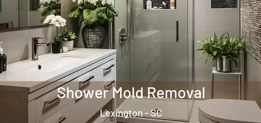 Shower Mold Removal Lexington - SC