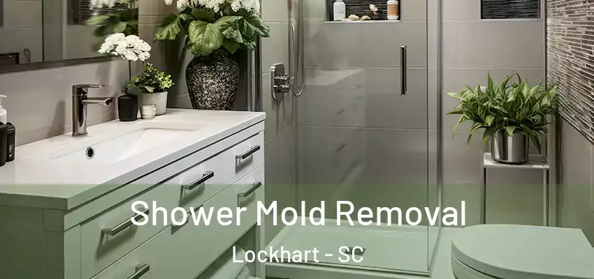  Shower Mold Removal Lockhart - SC