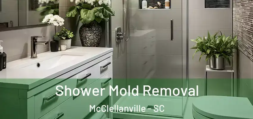  Shower Mold Removal McClellanville - SC