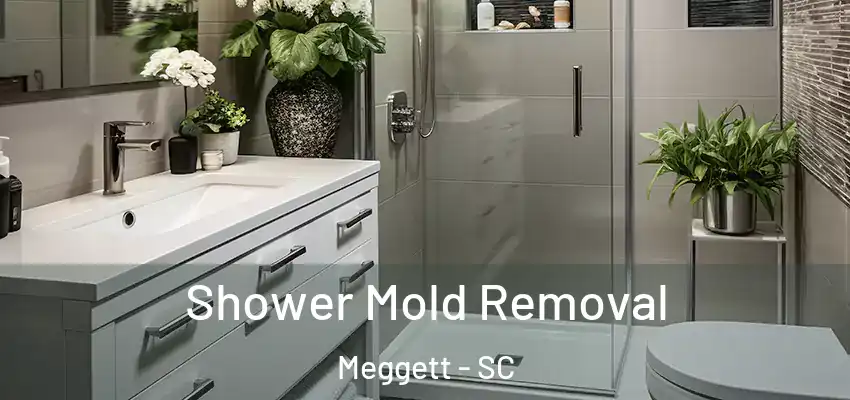 Shower Mold Removal Meggett - SC