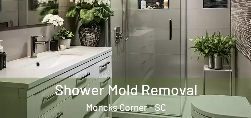  Shower Mold Removal Moncks Corner - SC