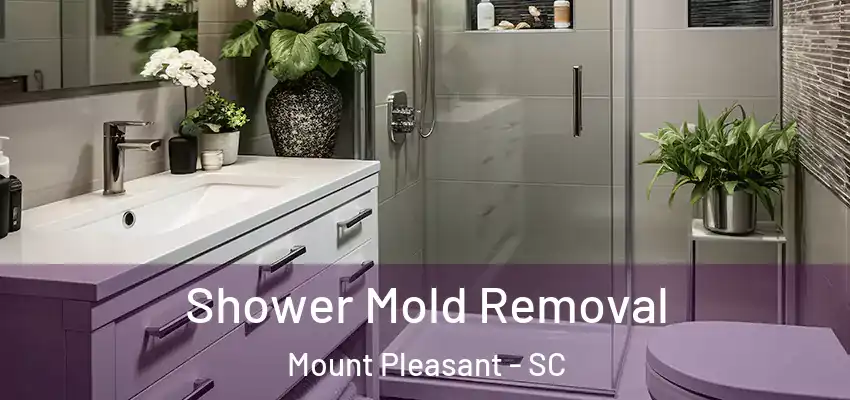  Shower Mold Removal Mount Pleasant - SC
