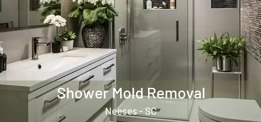  Shower Mold Removal Neeses - SC