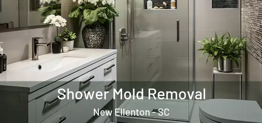 Shower Mold Removal New Ellenton - SC