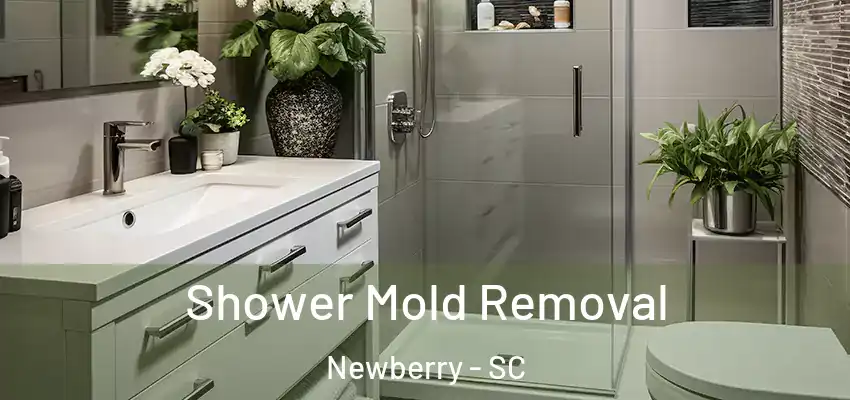  Shower Mold Removal Newberry - SC