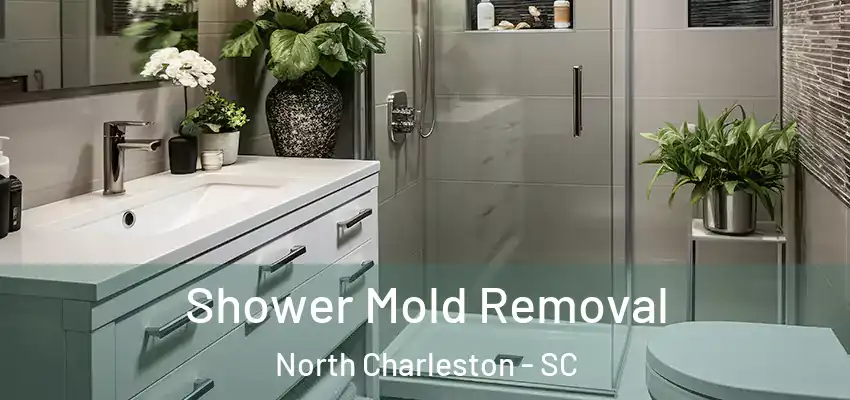Shower Mold Removal North Charleston - SC