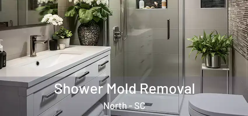  Shower Mold Removal North - SC