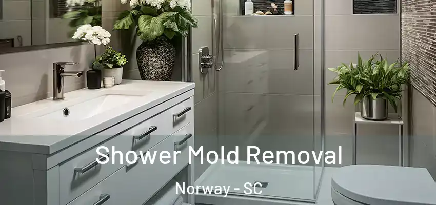  Shower Mold Removal Norway - SC
