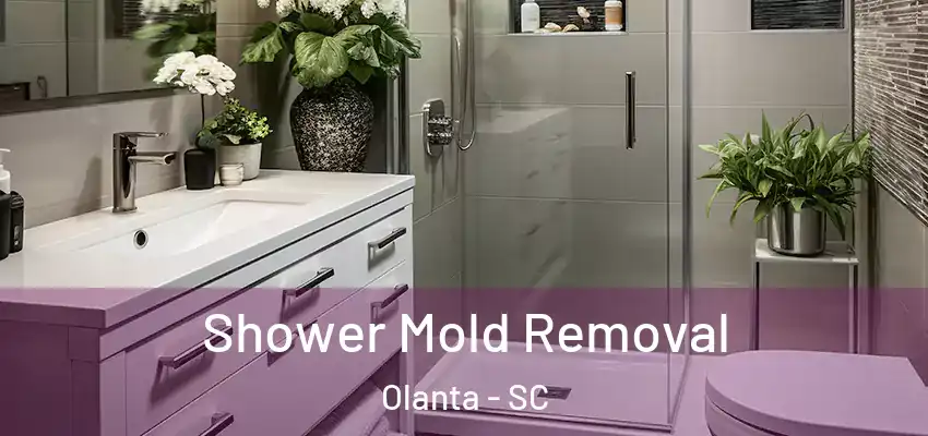 Shower Mold Removal Olanta - SC