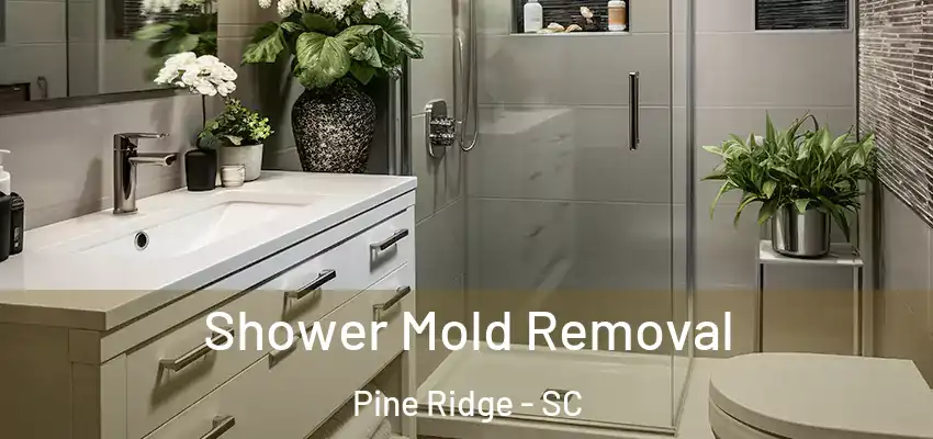 Shower Mold Removal Pine Ridge - SC