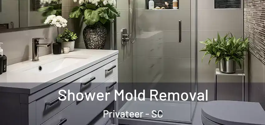  Shower Mold Removal Privateer - SC
