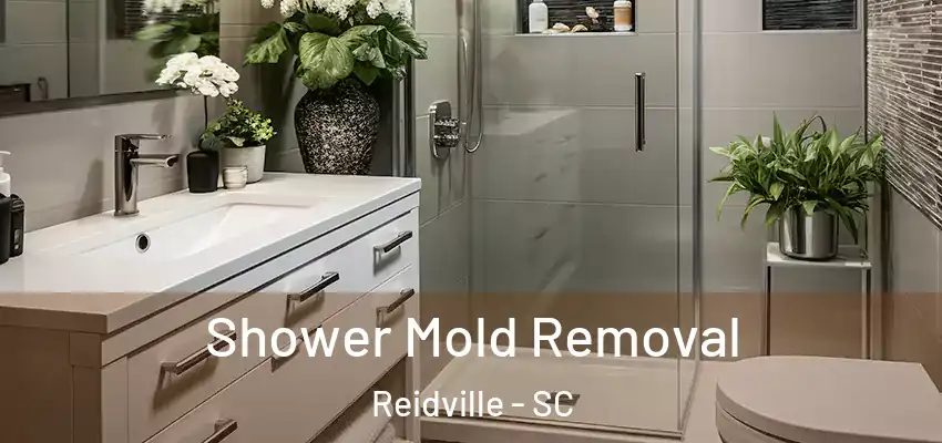 Shower Mold Removal Reidville - SC