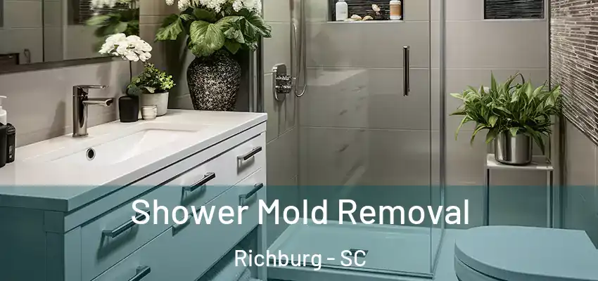  Shower Mold Removal Richburg - SC