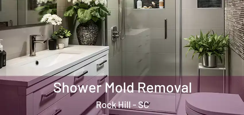  Shower Mold Removal Rock Hill - SC