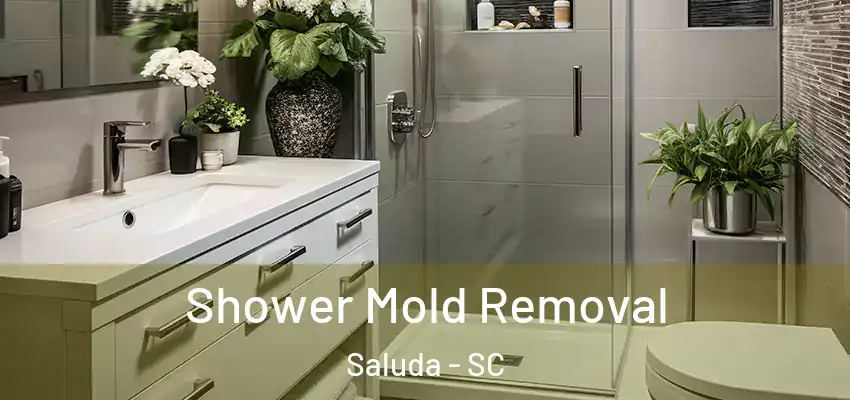  Shower Mold Removal Saluda - SC