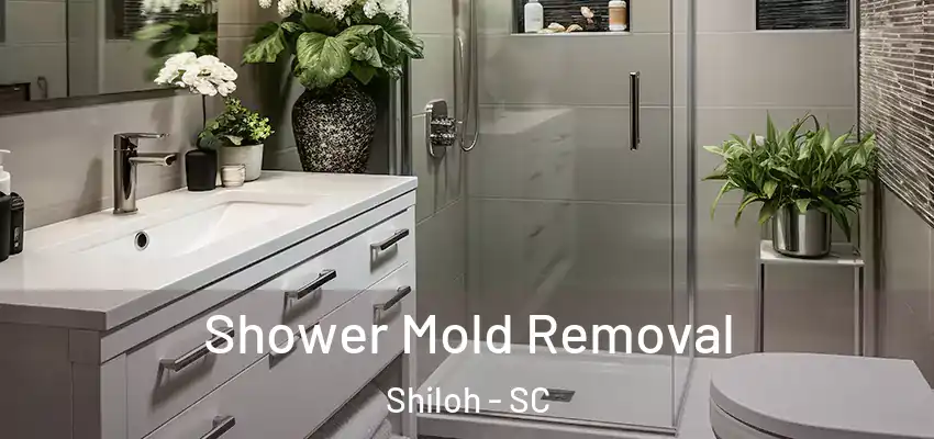 Shower Mold Removal Shiloh - SC