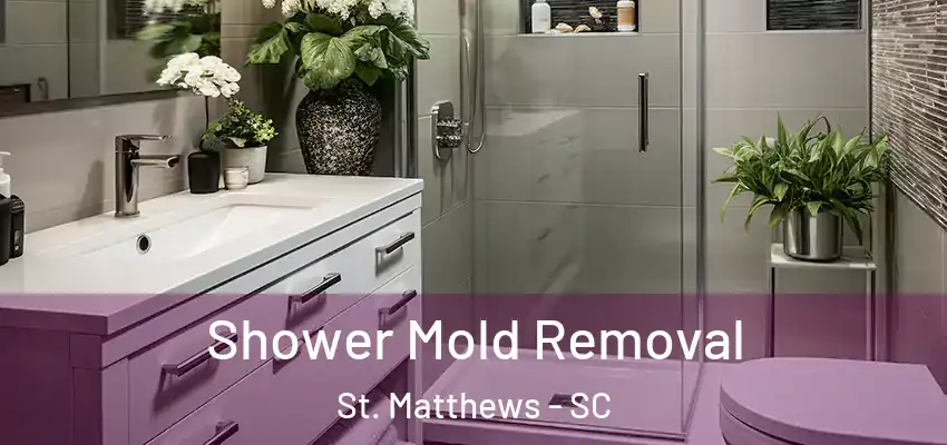 Shower Mold Removal St. Matthews - SC