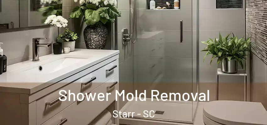 Shower Mold Removal Starr - SC