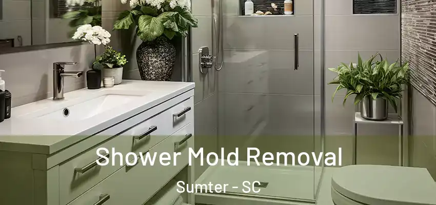  Shower Mold Removal Sumter - SC