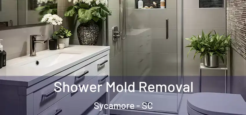  Shower Mold Removal Sycamore - SC