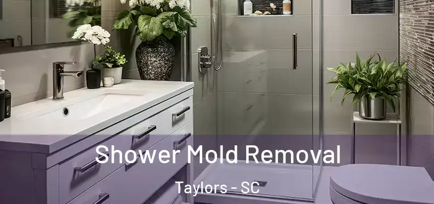  Shower Mold Removal Taylors - SC
