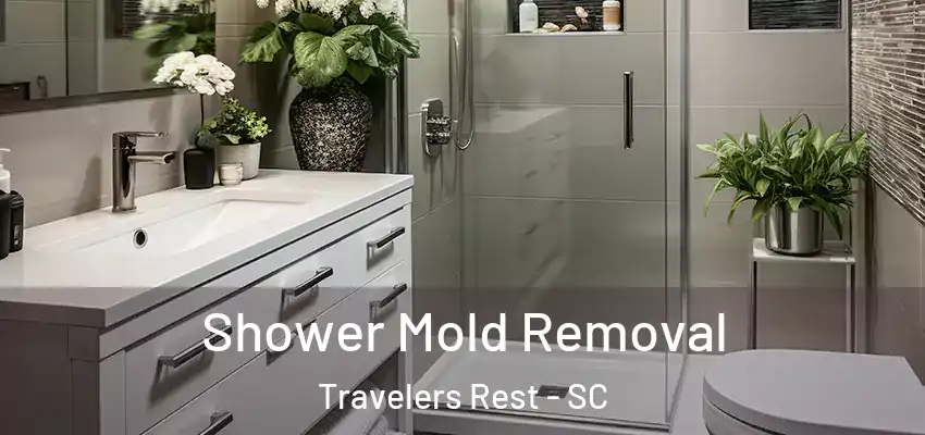 Shower Mold Removal Travelers Rest - SC