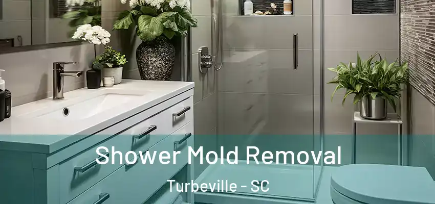 Shower Mold Removal Turbeville - SC