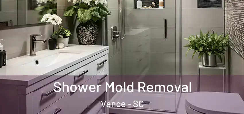  Shower Mold Removal Vance - SC