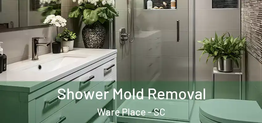  Shower Mold Removal Ware Place - SC