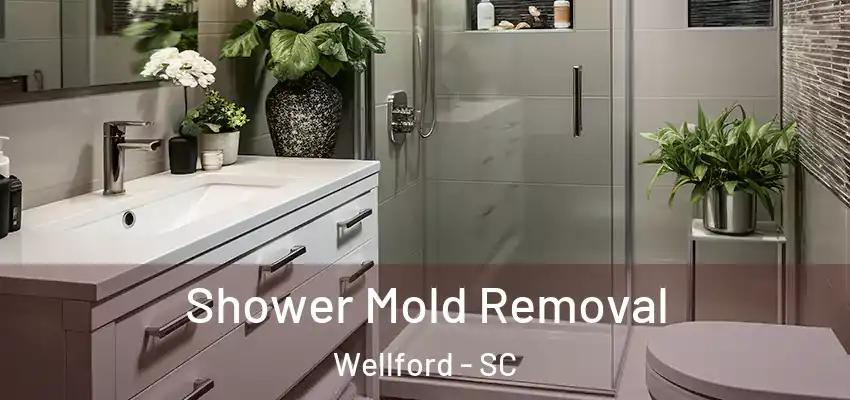 Shower Mold Removal Wellford - SC