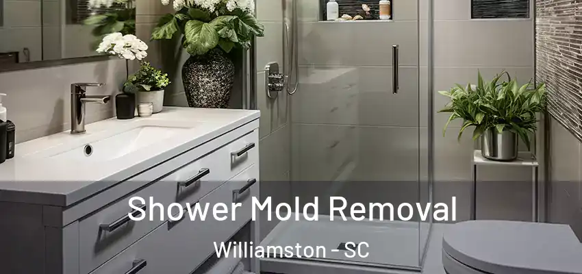  Shower Mold Removal Williamston - SC