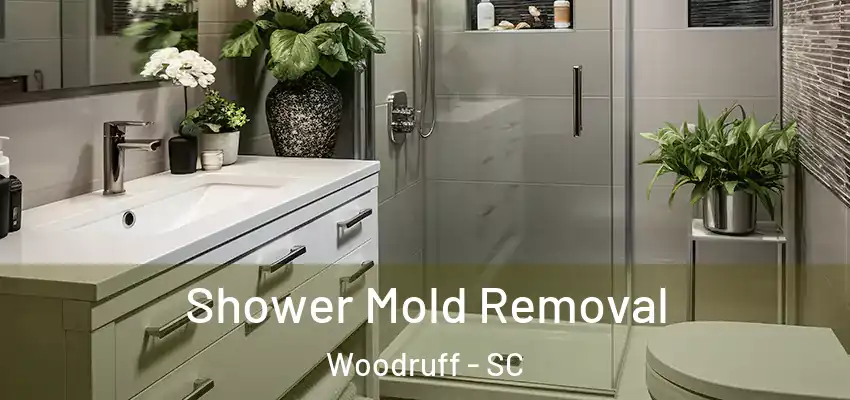  Shower Mold Removal Woodruff - SC