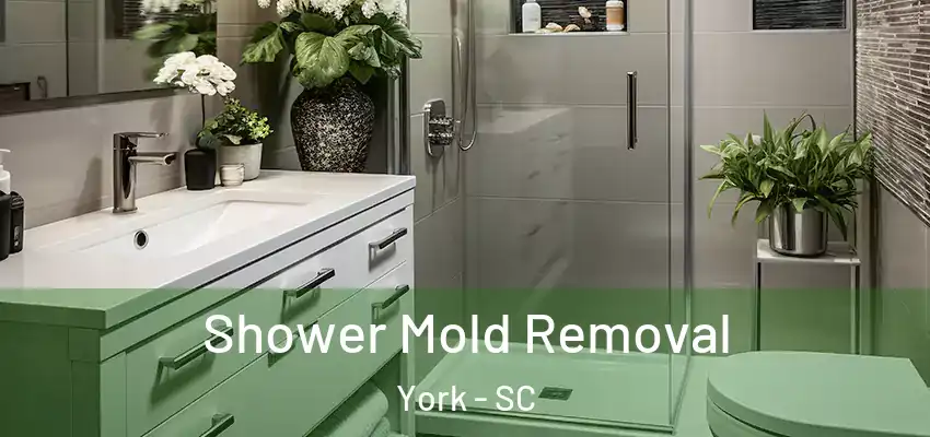  Shower Mold Removal York - SC